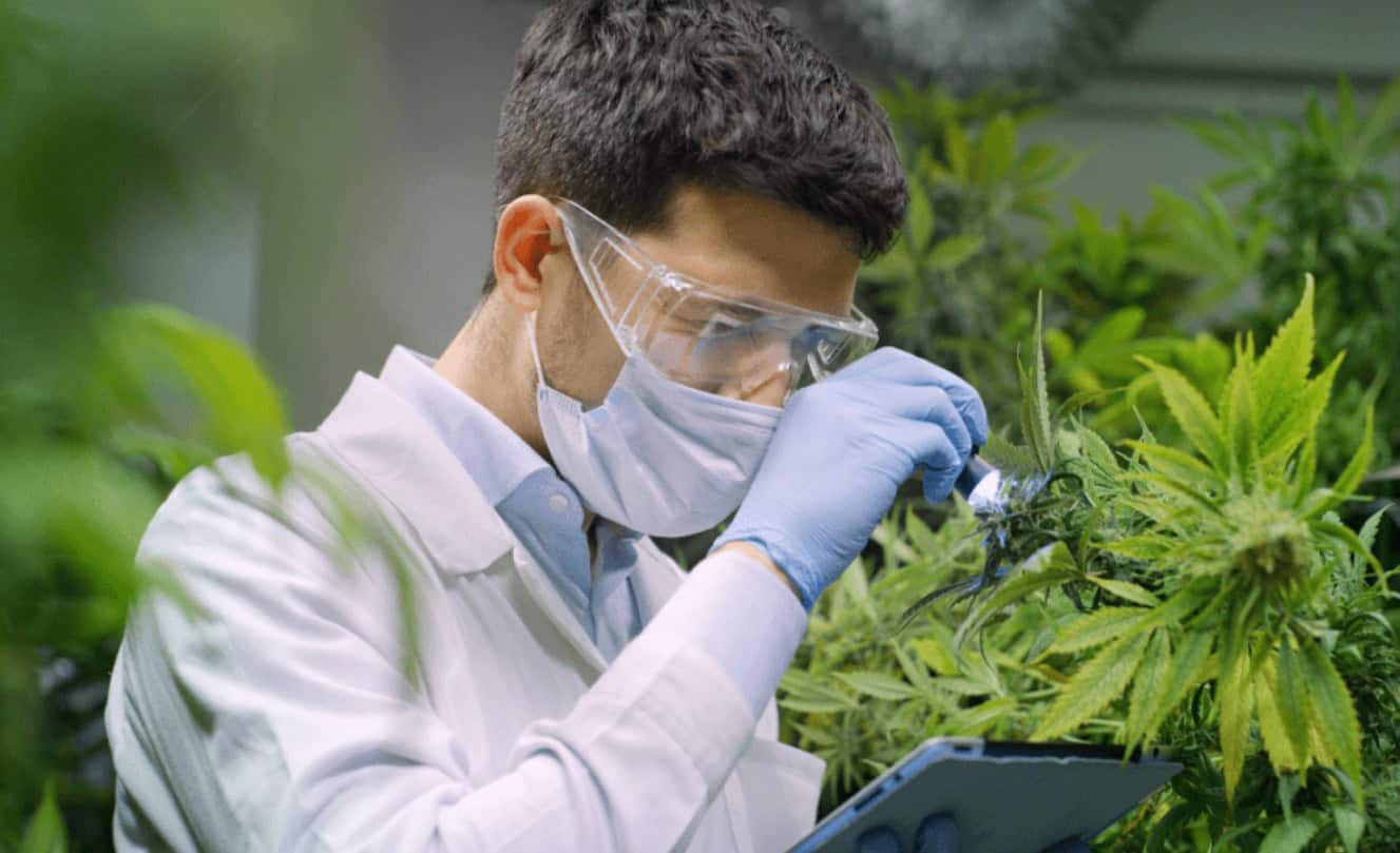 Tetra extrakcia (TFE) využíva rozpúšťadlo tetrafluóretán