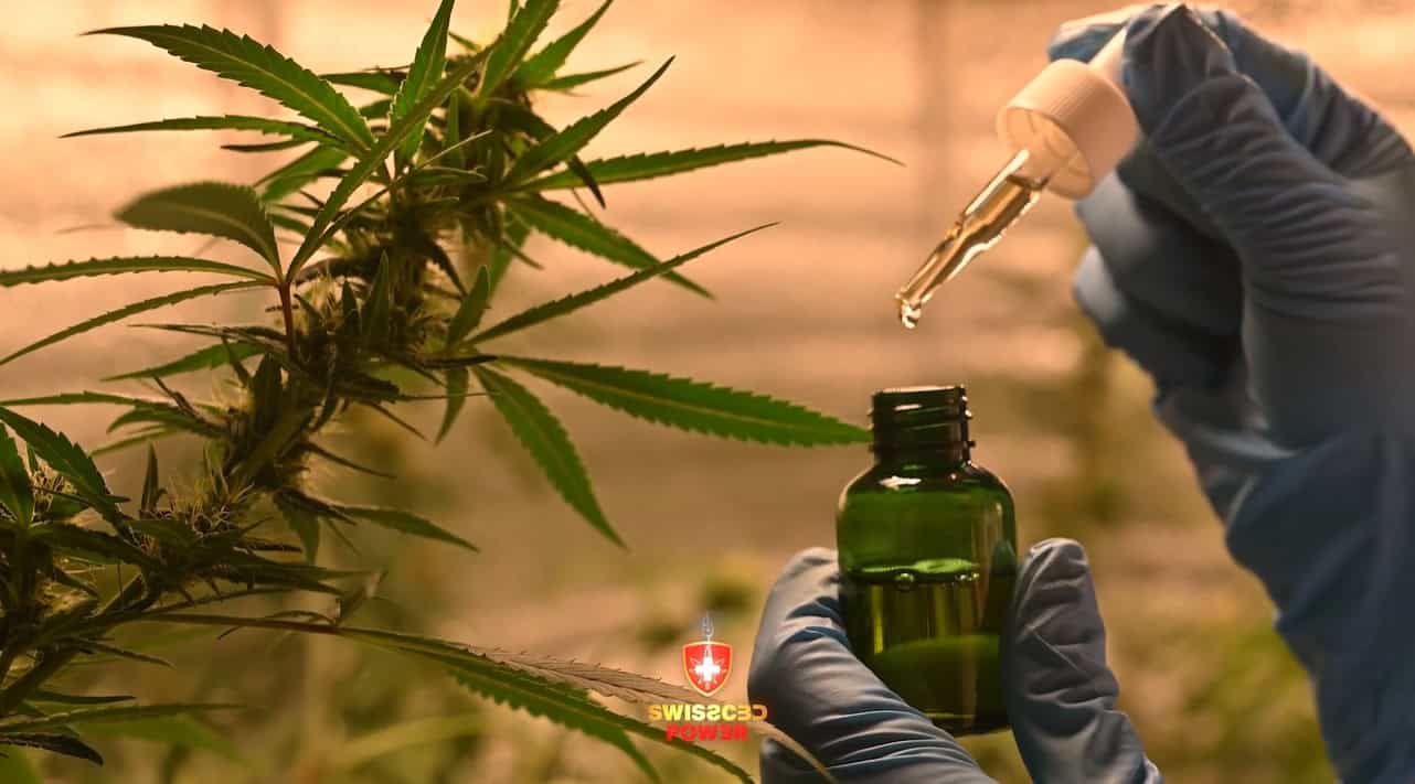 SWISS CBD POWER prináša na Slovensko TOP olej
