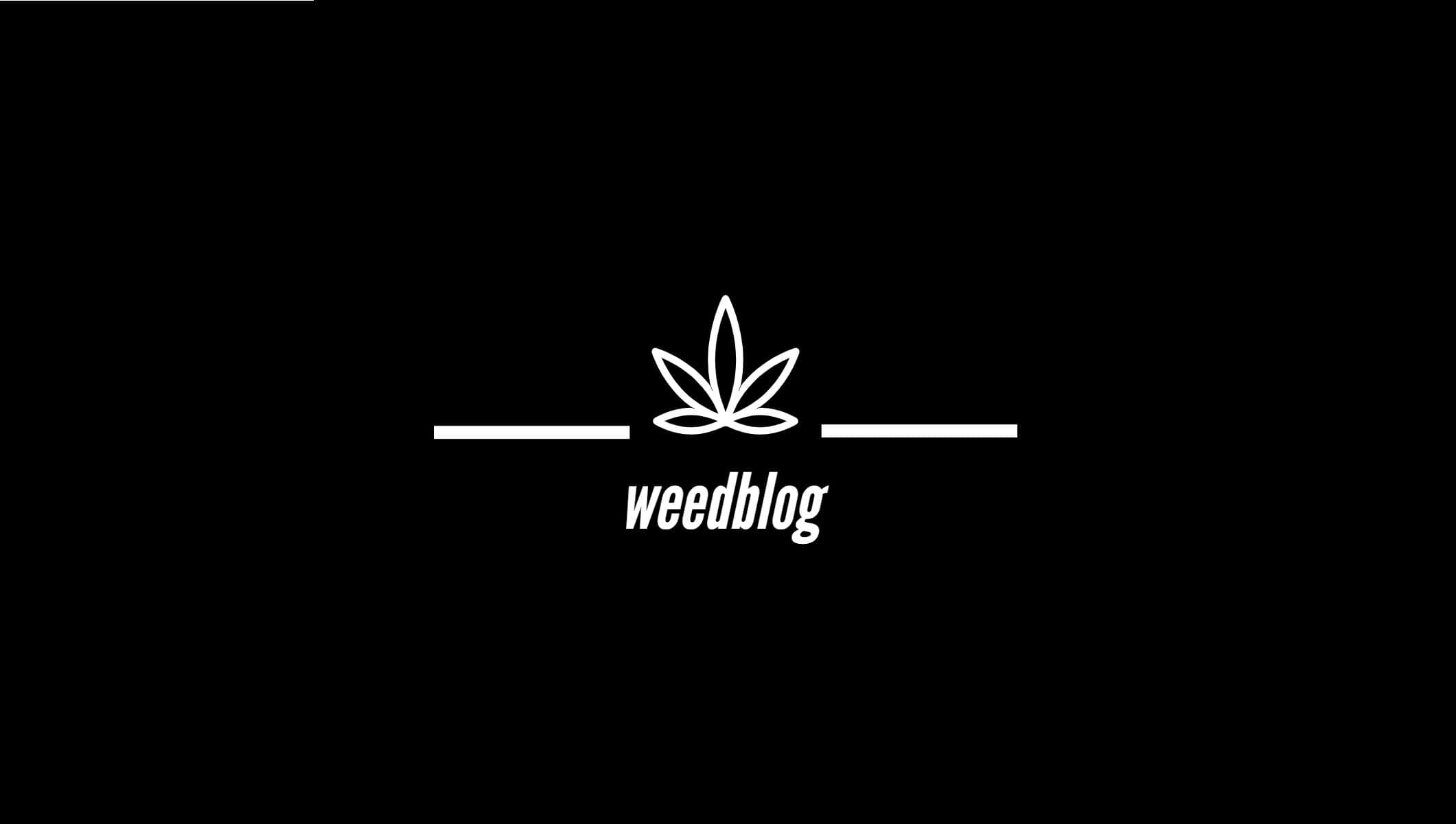 WEED BLOG