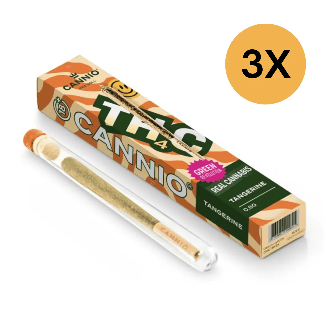 TH4C pre roll CANNIO 08g tangerine 11